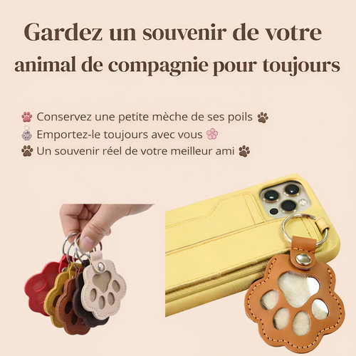 🐾 Même partis, ils restent avec nous ❤️